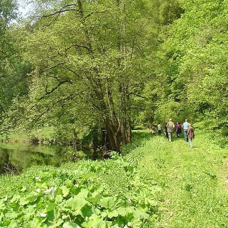 아파트 Kyll Valley Forest *