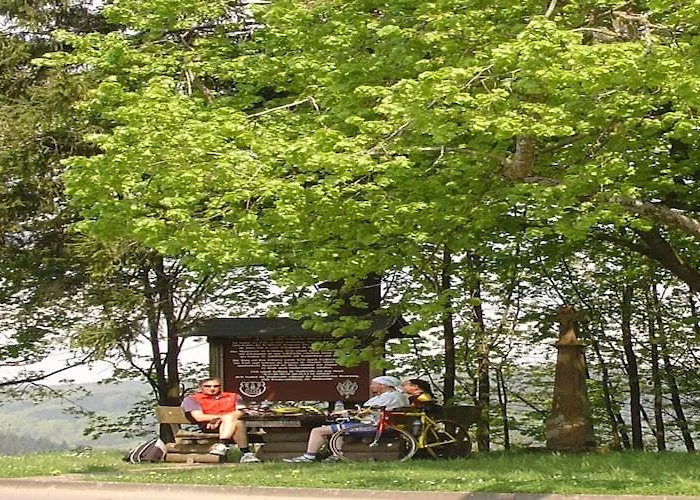 Kyll Valley Forest Kyllburg