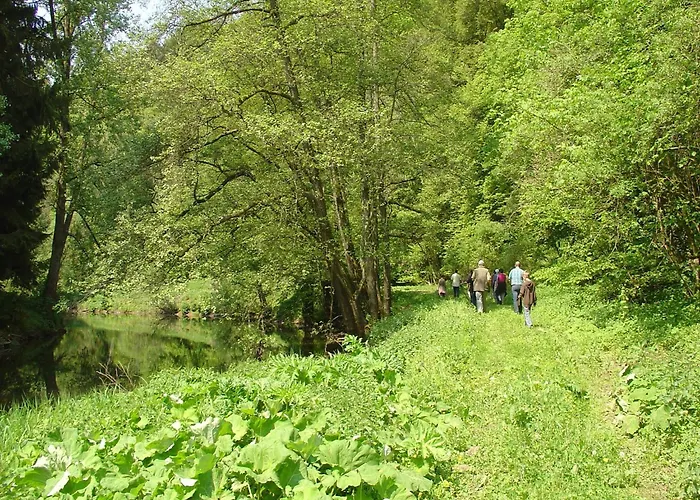 Apartment Kyll Valley Forest *