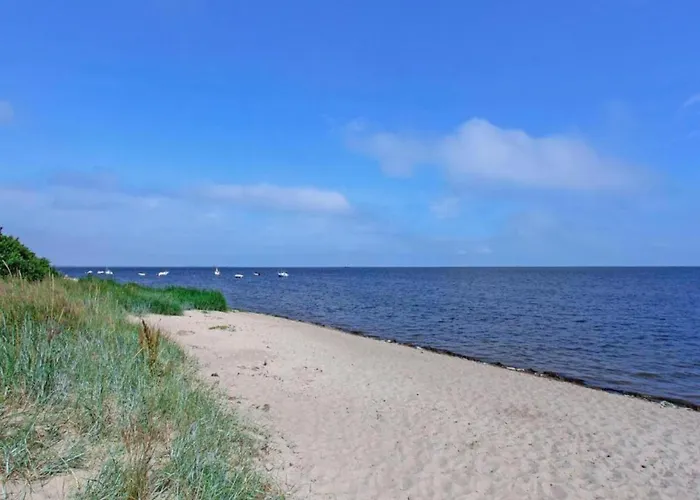 Kyll Valley Forest Kyllburg