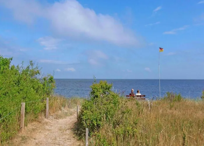 Kyll Valley Forest *